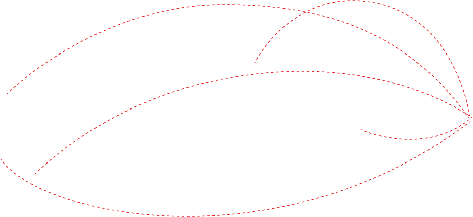 藍(lán)芯科技